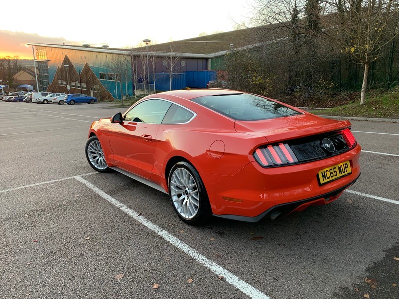 FORD MUSTANG