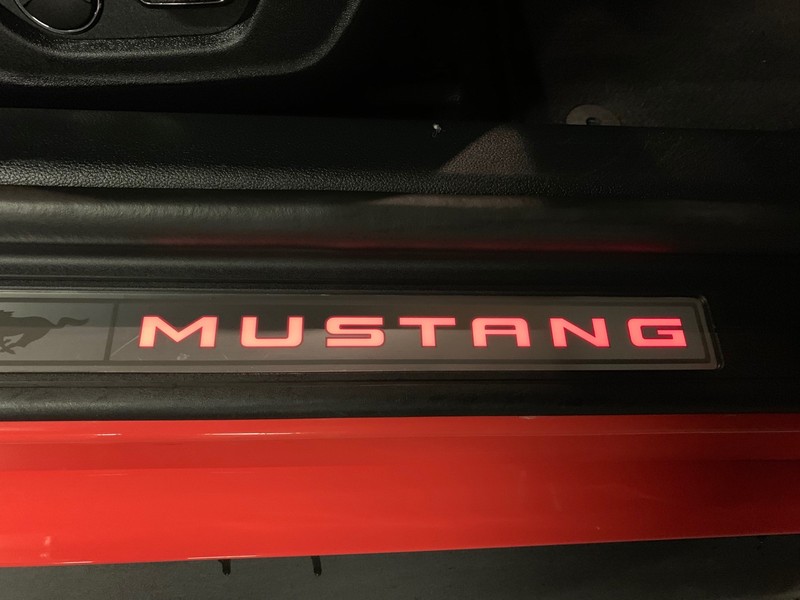 FORD MUSTANG
