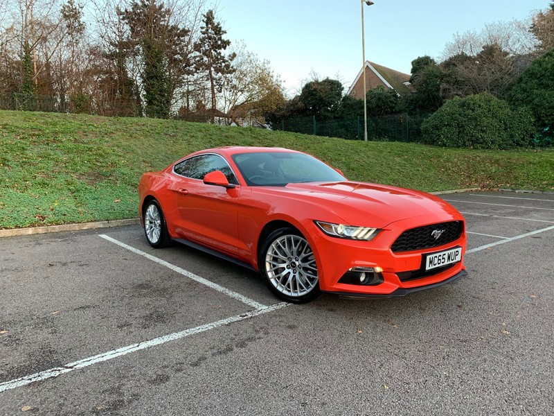 FORD MUSTANG