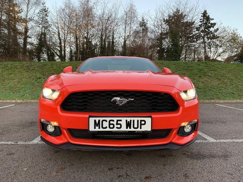 FORD MUSTANG