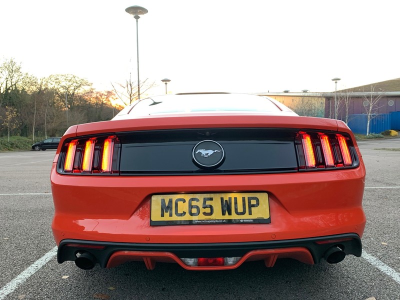 FORD MUSTANG