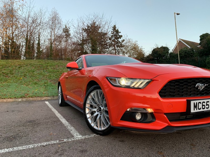 FORD MUSTANG