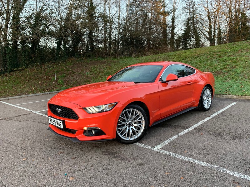FORD MUSTANG